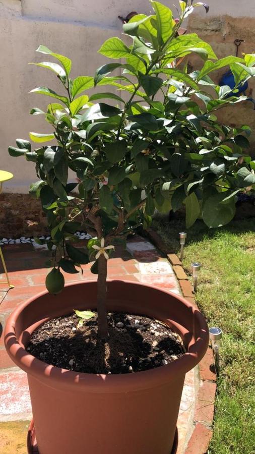 Magalocanda Stanze Sotto Al Castello Montemagno  Εξωτερικό φωτογραφία